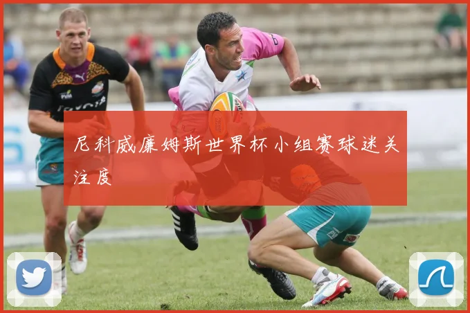 尼科威廉姆斯世界杯小组赛球迷关注度