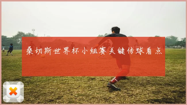 桑切斯世界杯小组赛关键传球看点