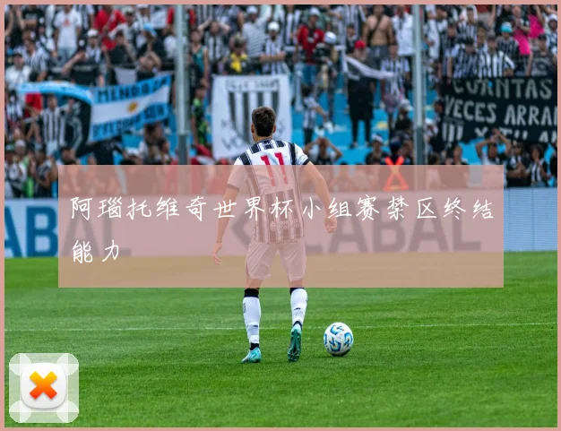 阿瑙托维奇世界杯小组赛禁区终结能力