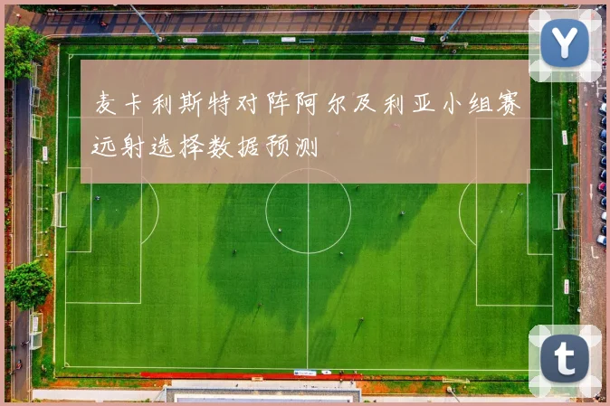 麦卡利斯特对阵阿尔及利亚小组赛远射选择数据预测