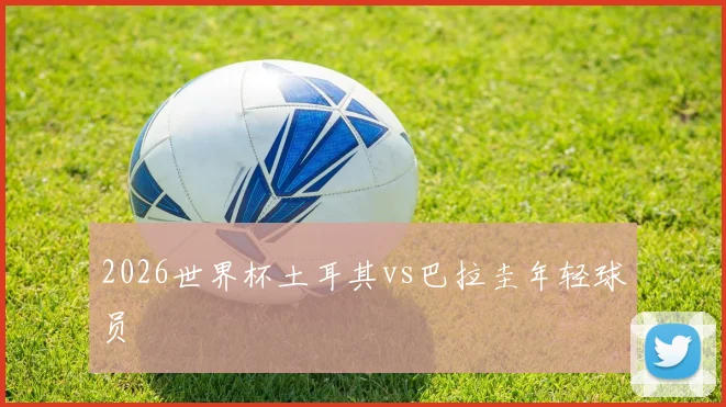 2026世界杯土耳其vs巴拉圭年轻球员