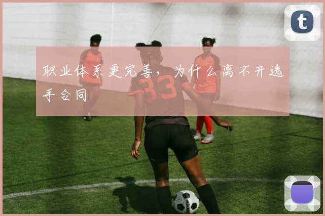 职业体系更完善，为什么离不开选手合同