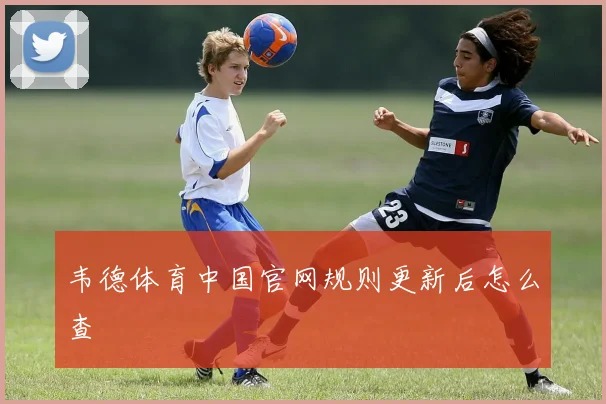韦德体育中国官网规则更新后怎么查